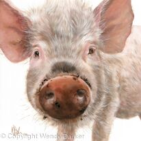 muddy Pig