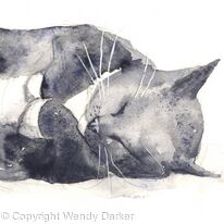 Black Cat