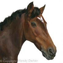 Brown Horse