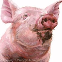 Pink pig