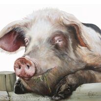 Happypig