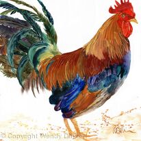 Cockerel