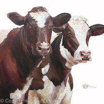 Two friesians
