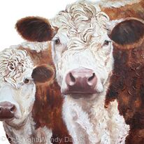 Two Herefords