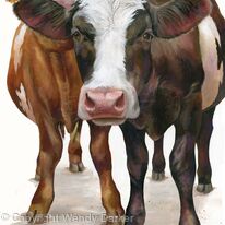 Colourful Cows