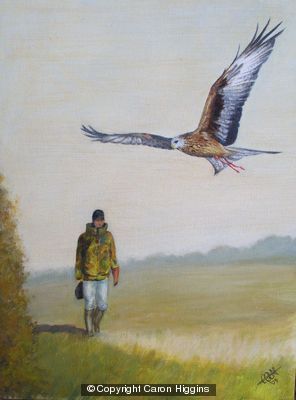 Hunting with a Hawk