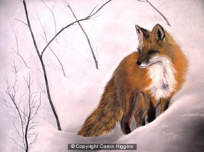 A Fox in Winter