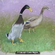 Paddy and Pip