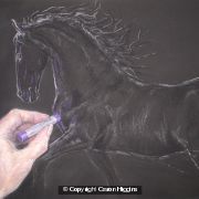 The Artist at Work