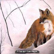 A Fox in Winter