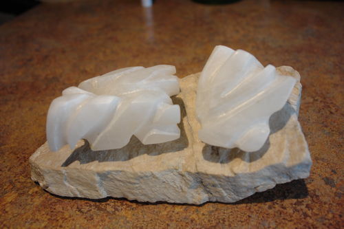 Rock Garden