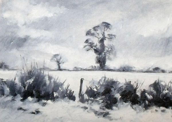 Northamptonshire fields early winter