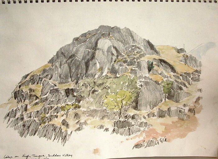 High Tongue, Duddon valley