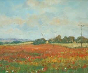 Poppies at Fosters Booth