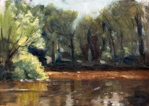 The Big Pond, Baddesley Clinton