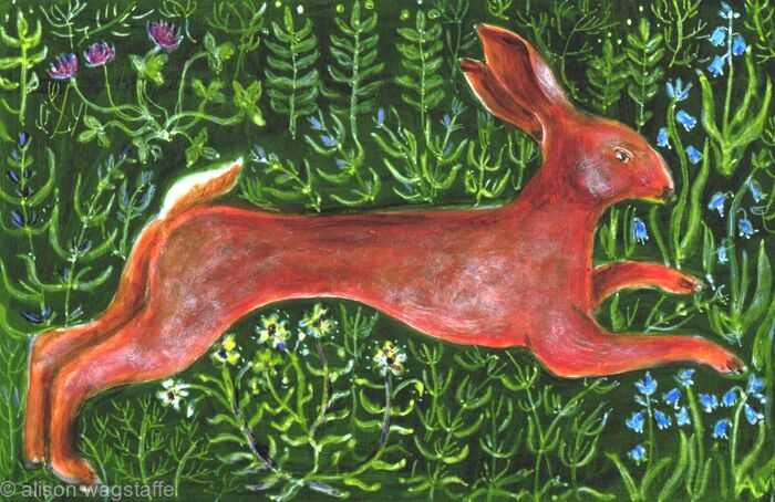 mr hare