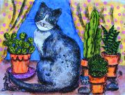 the cactus fancier