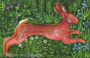 mr hare