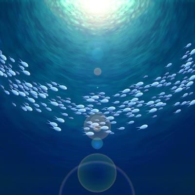 Crowded Oceans