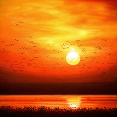Sunset Flock