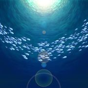 Crowded Oceans