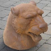 Cougar Head