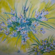 spring flowers