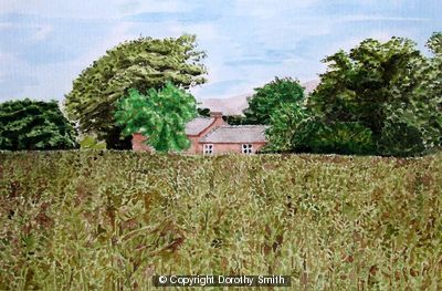 Beanfield at High Slakes