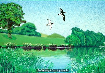 Oystercatchers over High Slakes Lake 