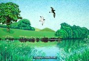 Oystercatchers over High Slakes Lake 