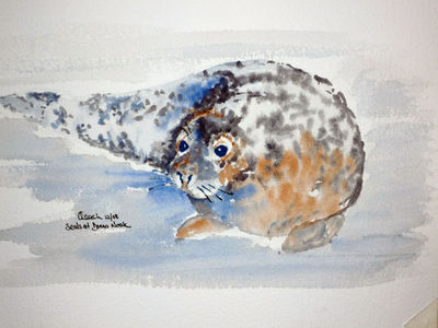 Seal at Donna Nook