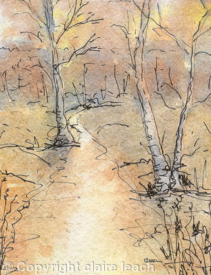 Bourne Woods