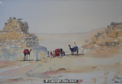 camels-at-giza
