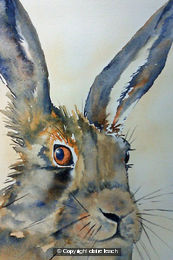 March Hare