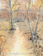 Bourne Woods