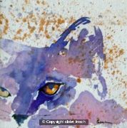 cat1
