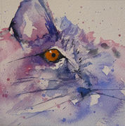 cat5