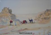 camels-at-giza