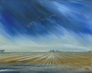 ploughed-field