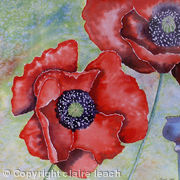 Poppy