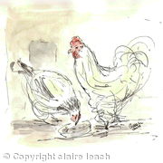 Chickens