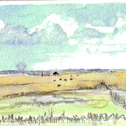 Cley Marsh