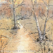 Bourne Woods