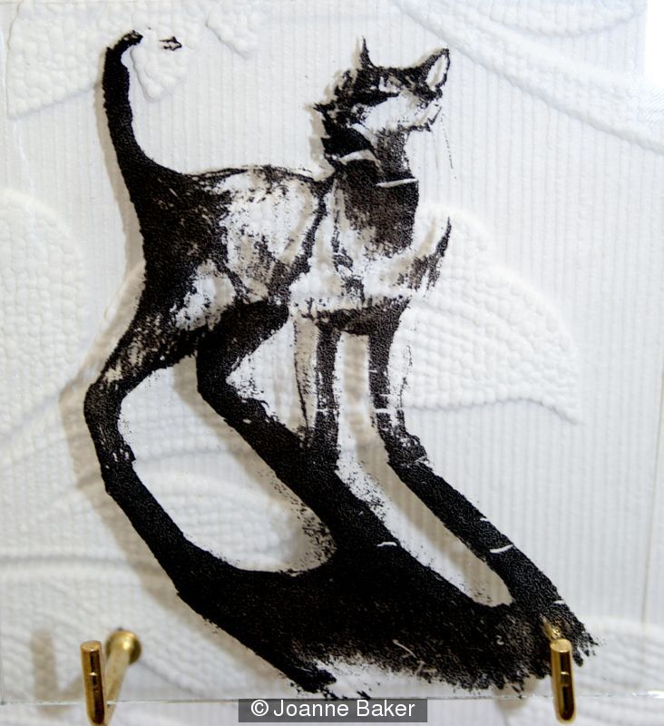 cat print