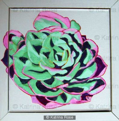 Lorna' Succulent