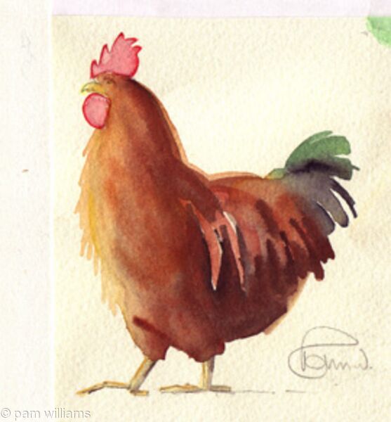 3. Proud Cockerel
