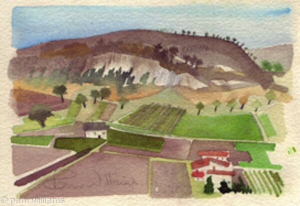 14. Saffron fields, Navelli