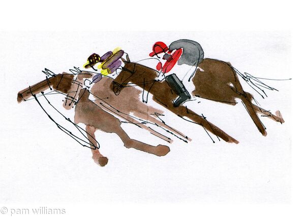 Loose horse - 2nd Race