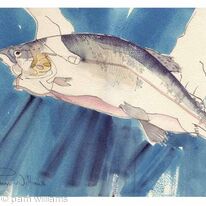 Trout - A Fine Catch