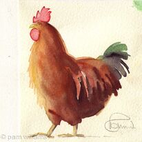 3. Proud Cockerel